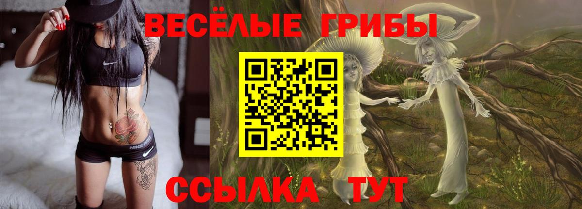 Галлюциногенные грибы мицелий  Псилоцибиновые грибы Psilocybe  Вход с VPN  Троицк 